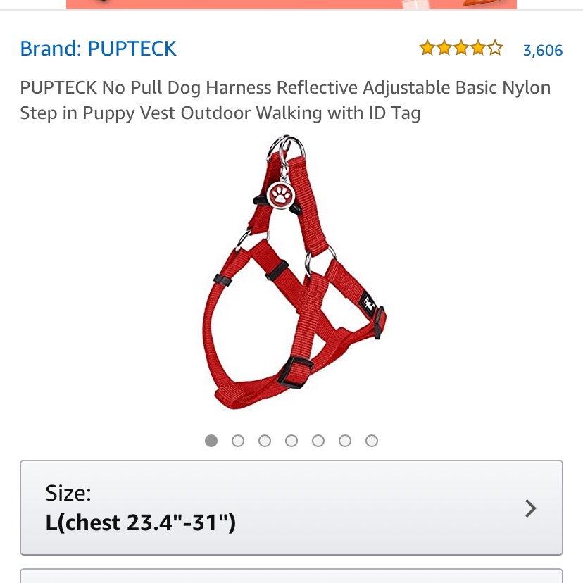 Dog Harness